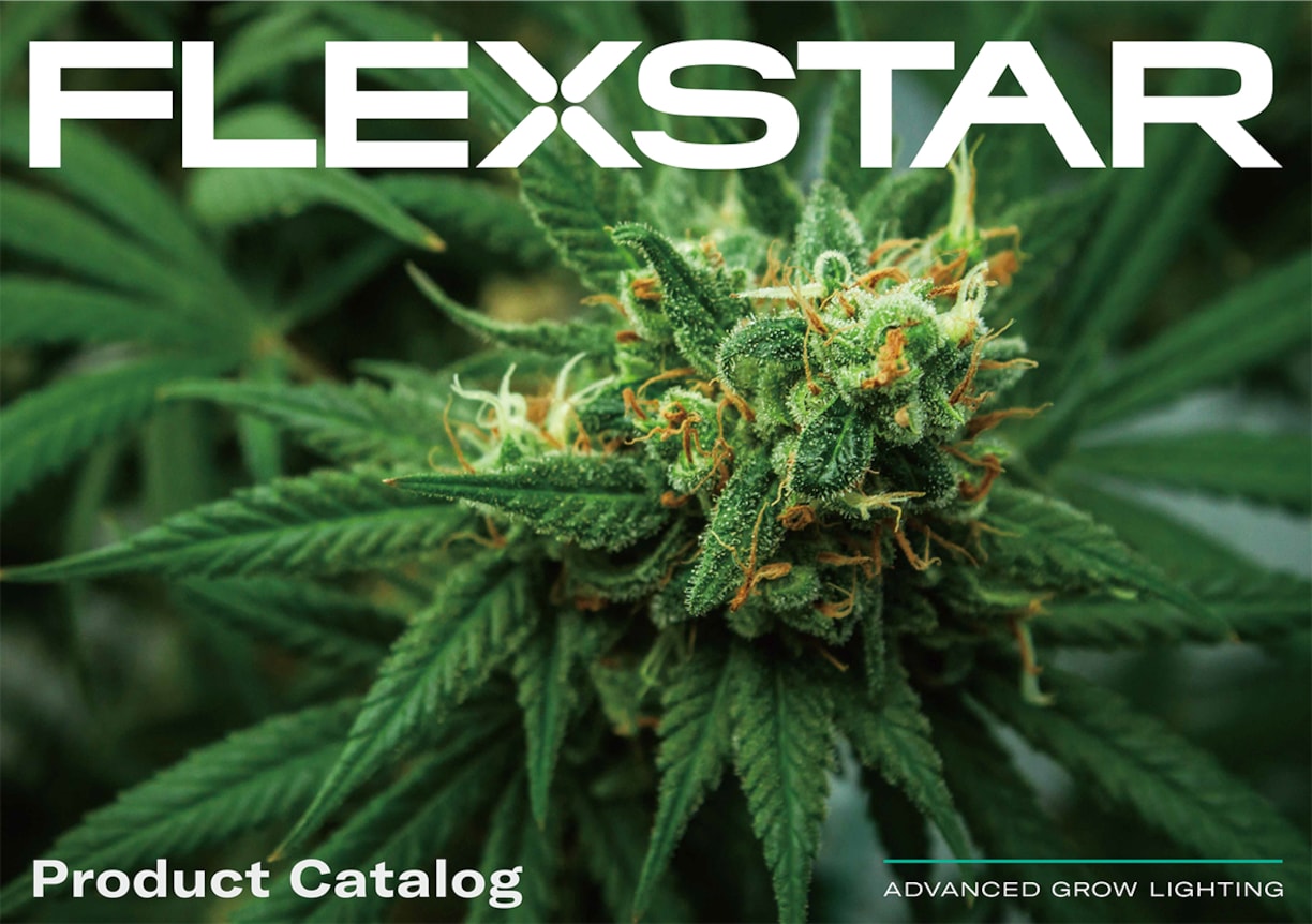 Flexstar