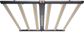 Flexstar