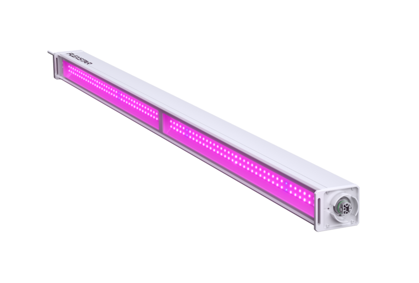 250W Linear Toplight