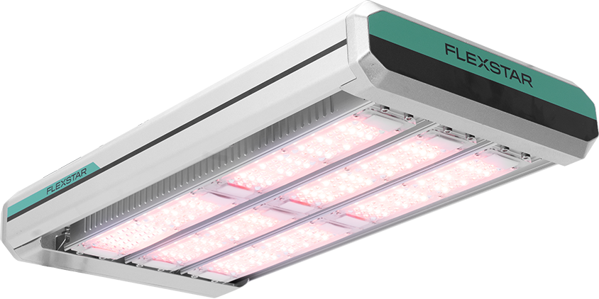 Flexstar