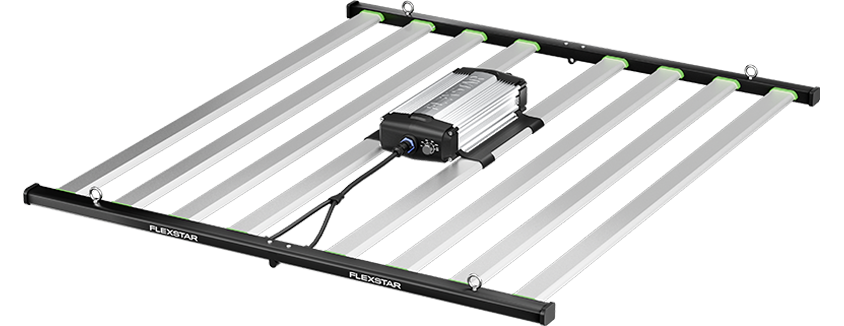 Flexstar
